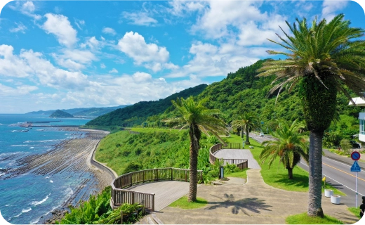 青島エリア(青島・木花)